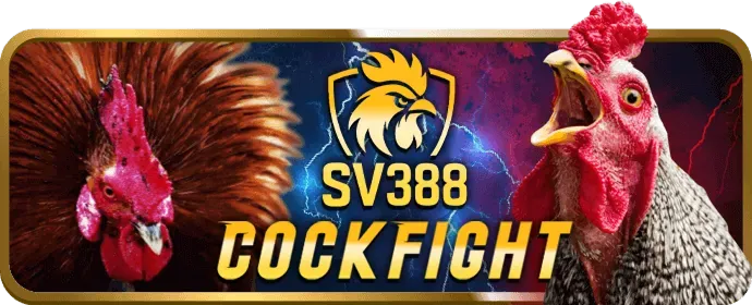 Hoàn trả hàng ngày cho game bắn cá tại 66bet nhà cái